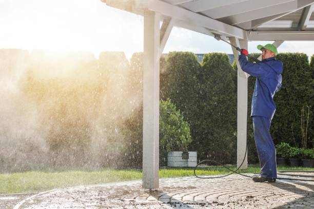 Best Spring Cleaning  in Branchville, SC
