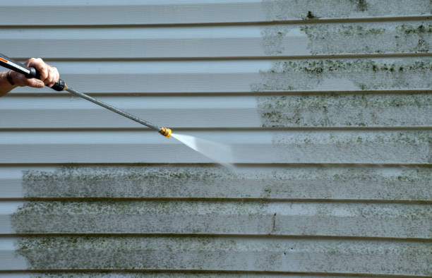 Best Fence Cleaning  in Branchville, SC